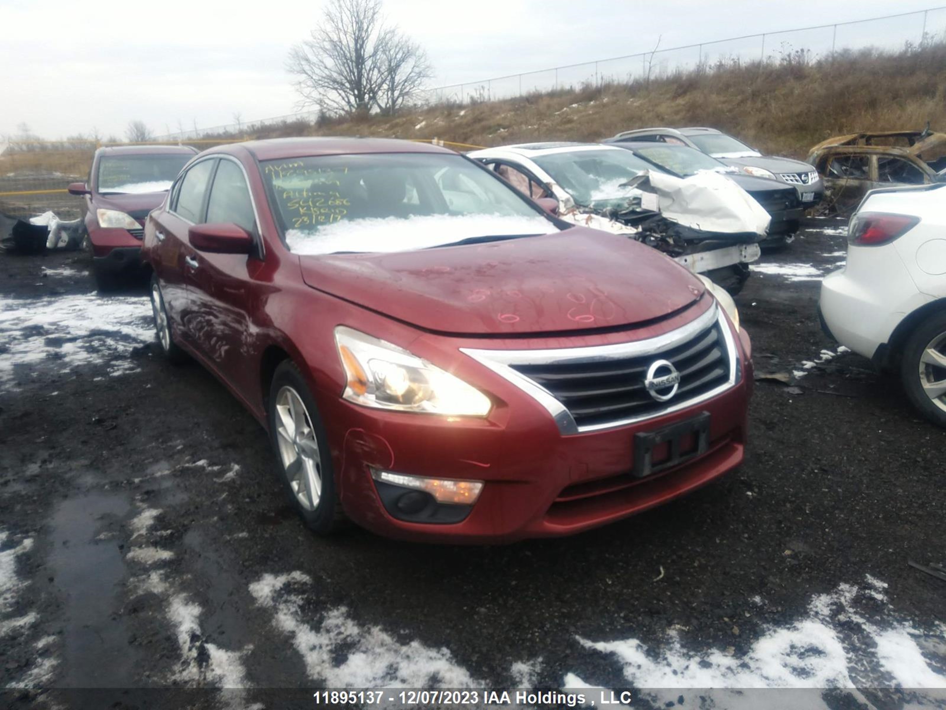 NISSAN ALTIMA 2013 1n4al3ap7dn542686