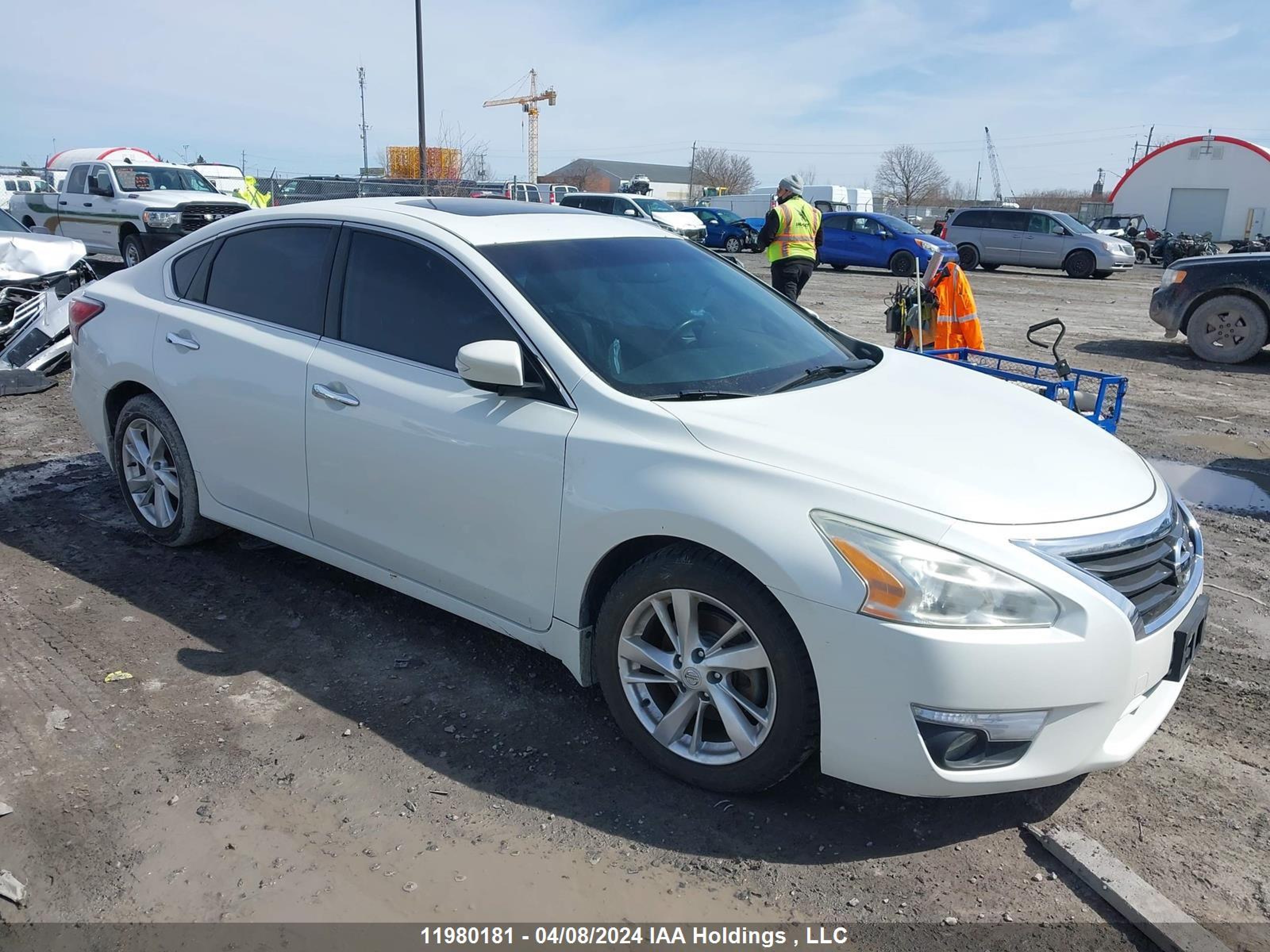 NISSAN ALTIMA 2014 1n4al3ap9en361428