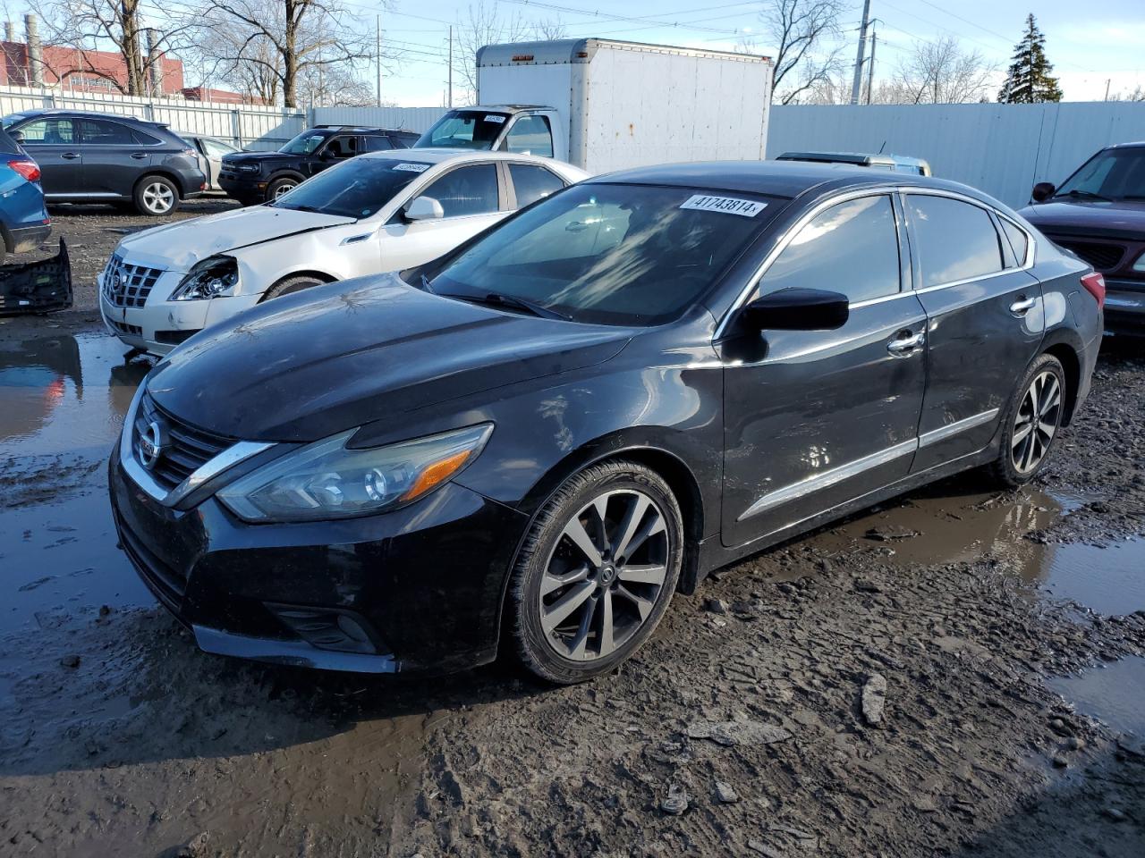 NISSAN ALTIMA 2016 1n4al3apxgc123683