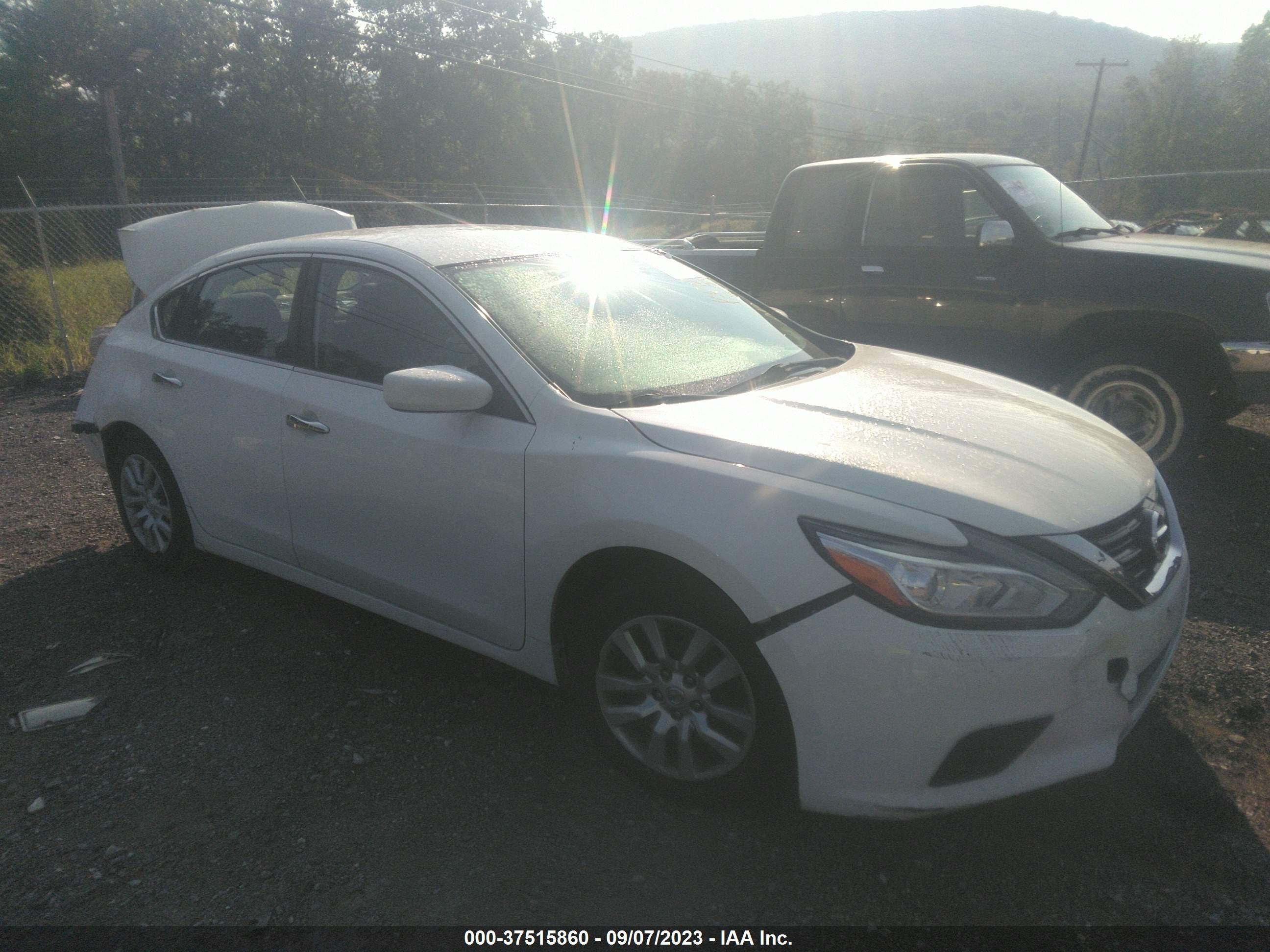 NISSAN ALTIMA 2016 1n4al3apxgc211813