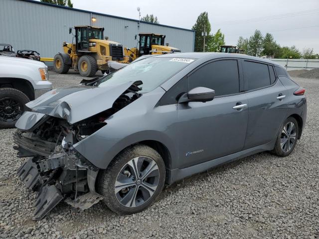 NISSAN LEAF 2019 1n4az1cp0kc306549