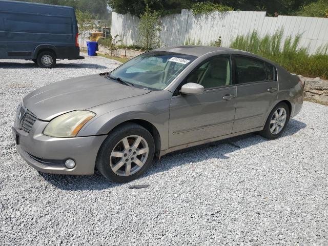 NISSAN MAXIMA SE 2004 1n4ba41e04c849093