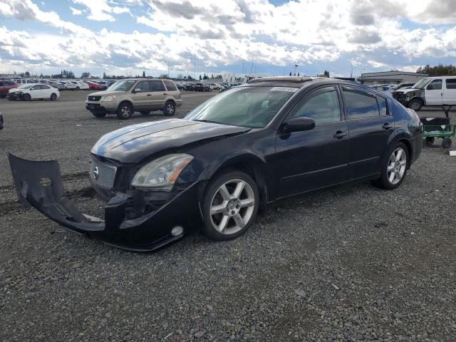 NISSAN MAXIMA 2004 1n4ba41e04c883566