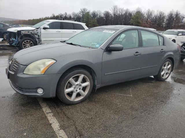 NISSAN MAXIMA SE 2004 1n4ba41e04c902942