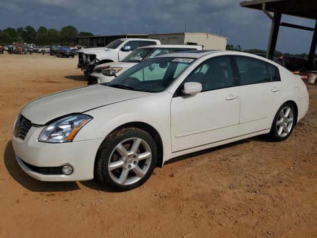 NISSAN MAXIMA 2005 1n4ba41e05c827662