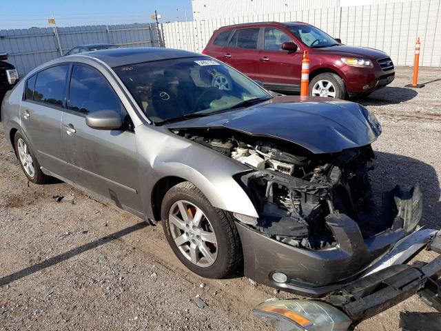 NISSAN MAXIMA SE 2005 1n4ba41e05c828407