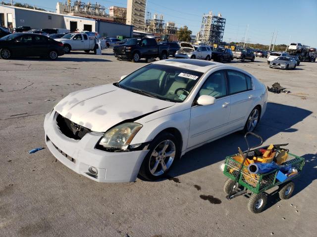 NISSAN MAXIMA 2005 1n4ba41e05c843294