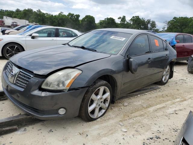 NISSAN MAXIMA 2005 1n4ba41e05c850018