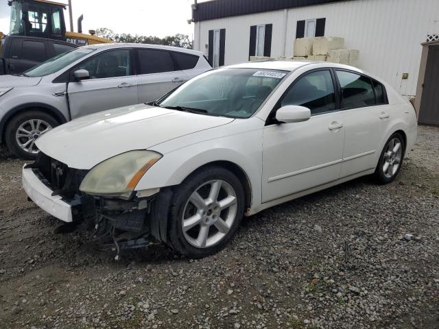 NISSAN MAXIMA SE 2005 1n4ba41e05c851637