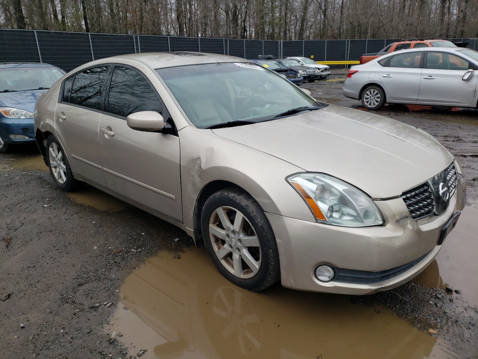 NISSAN MAXIMA SE 2005 1n4ba41e05c860905