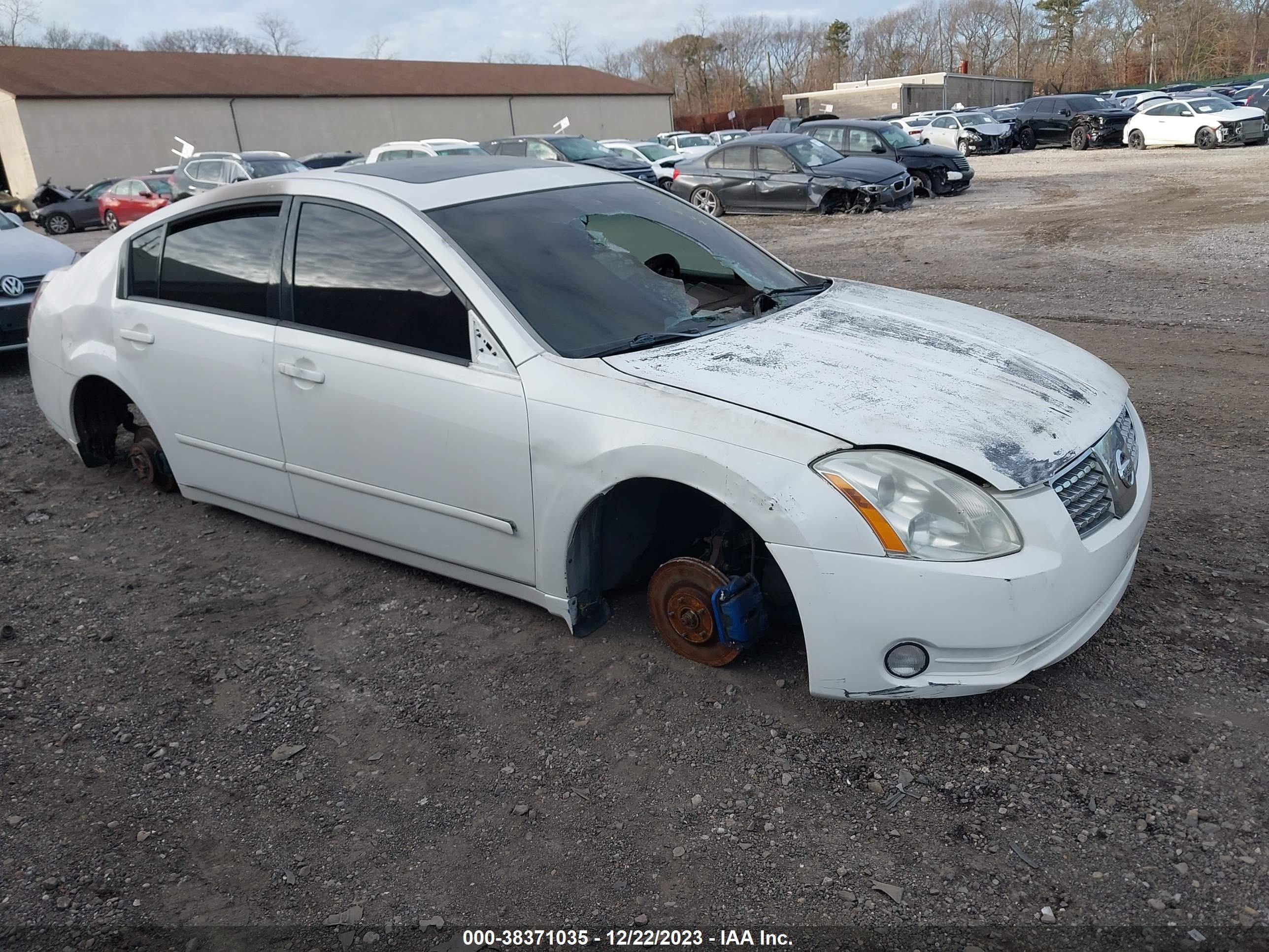 NISSAN MAXIMA 2006 1n4ba41e06c812046