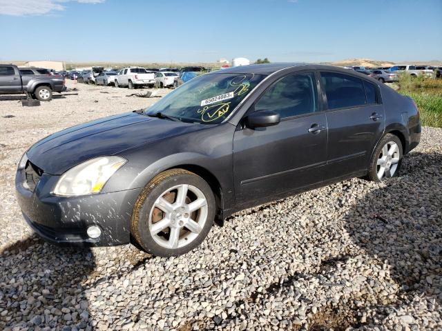 NISSAN MAXIMA SE 2006 1n4ba41e06c841255