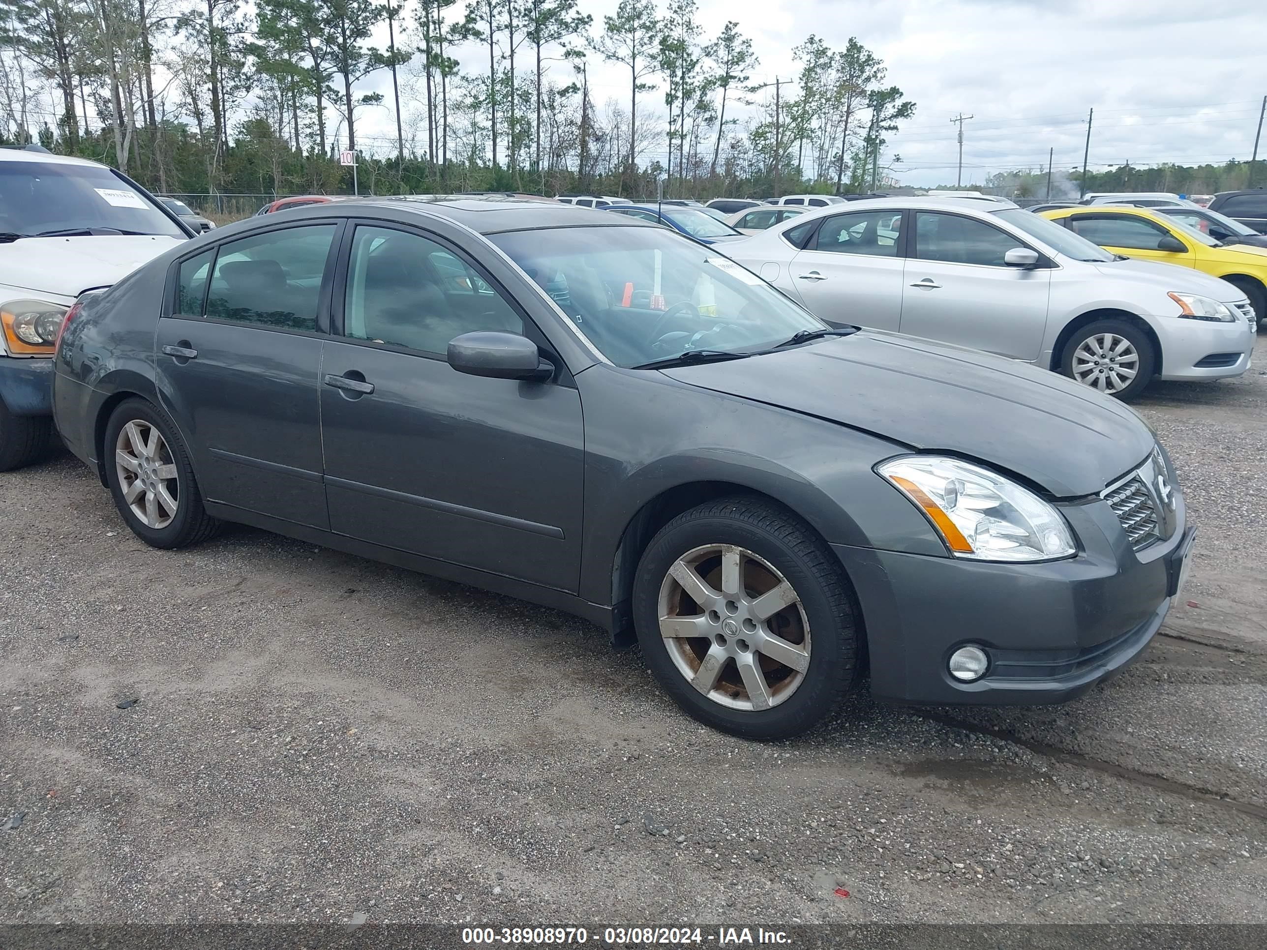 NISSAN MAXIMA 2006 1n4ba41e06c845239