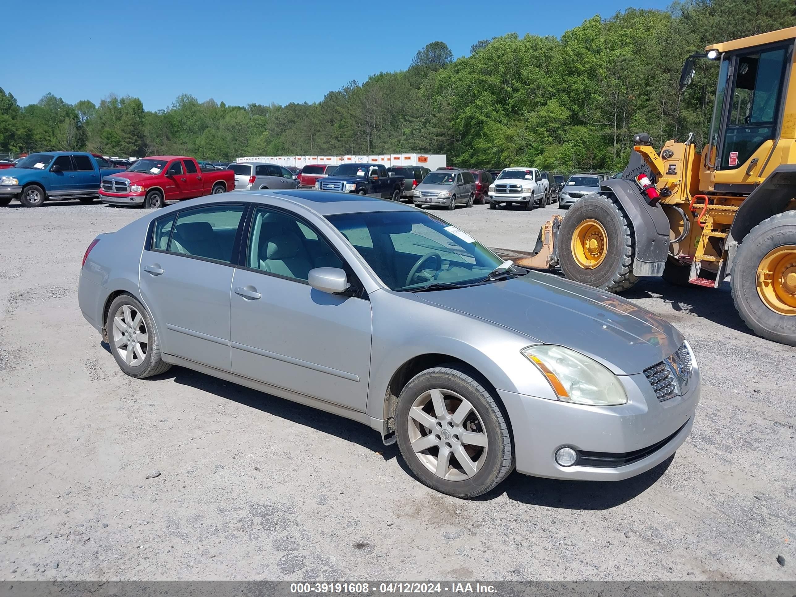 NISSAN MAXIMA 2006 1n4ba41e06c854183