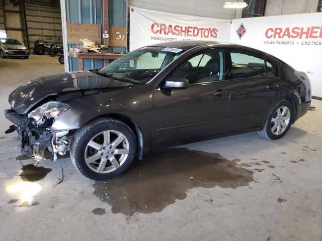 NISSAN MAXIMA 2006 1n4ba41e06c866270