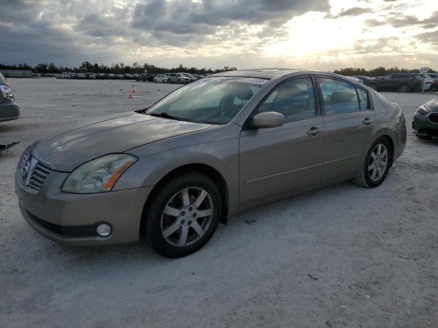 NISSAN MAXIMA 2004 1n4ba41e14c831279