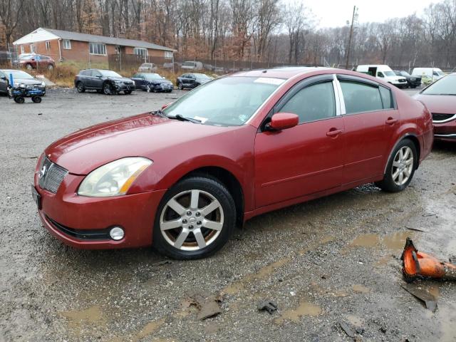 NISSAN MAXIMA SE 2004 1n4ba41e14c877131