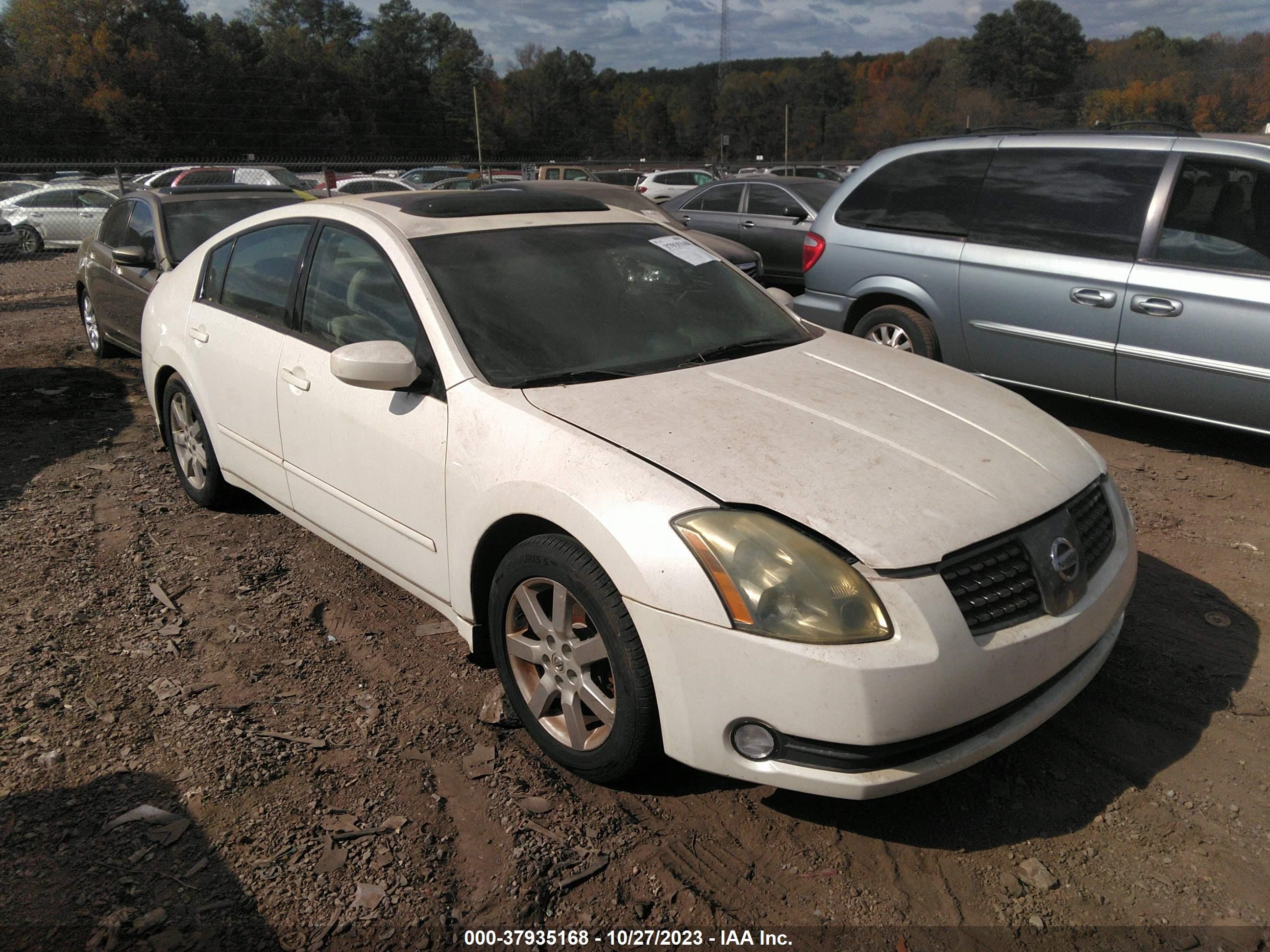 NISSAN MAXIMA 2004 1n4ba41e14c890509