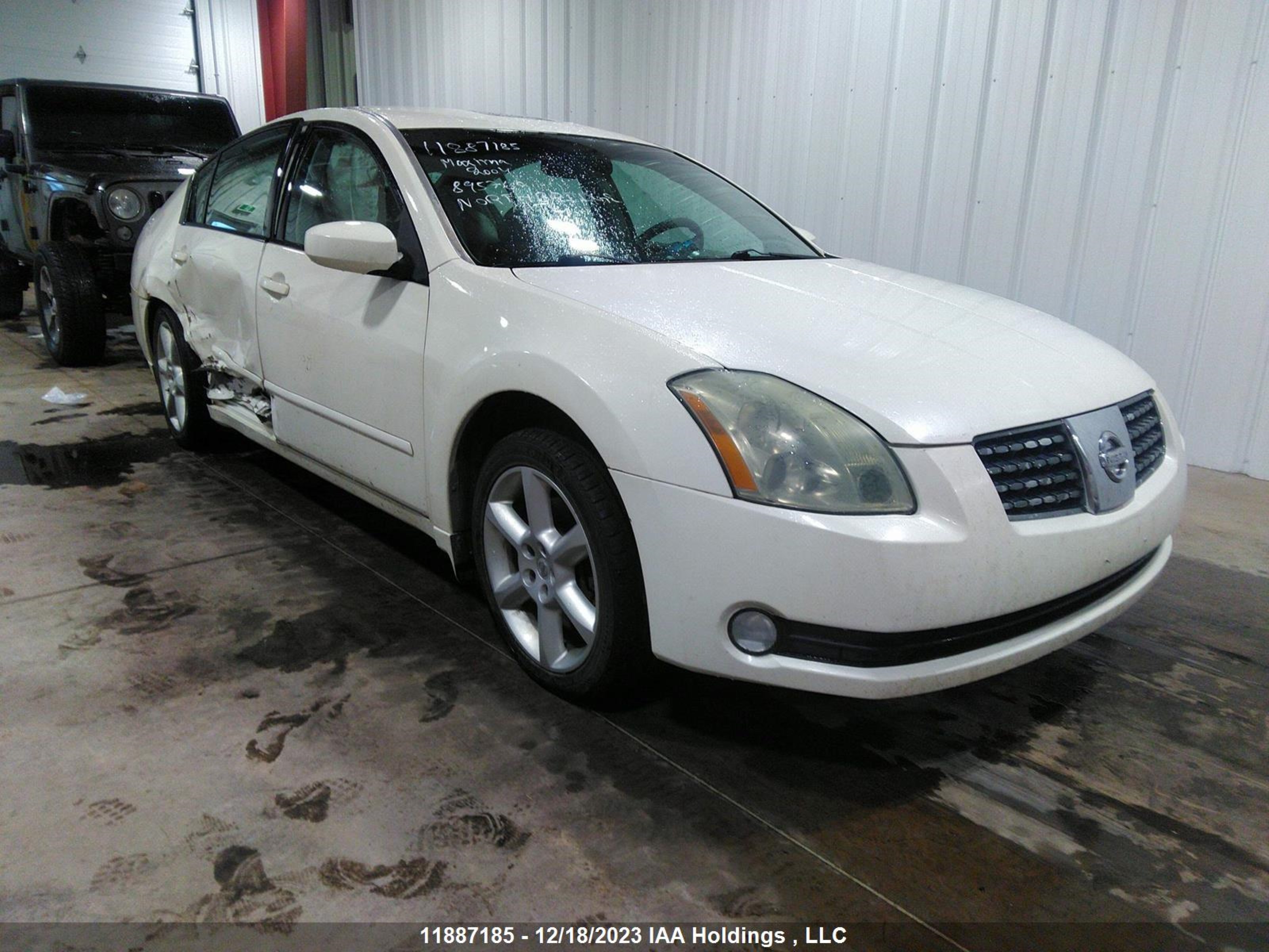 NISSAN MAXIMA 2004 1n4ba41e14c895760