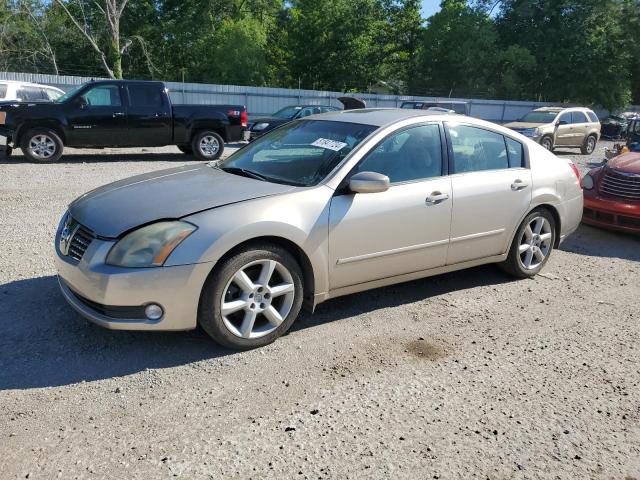 NISSAN MAXIMA 2004 1n4ba41e14c918552