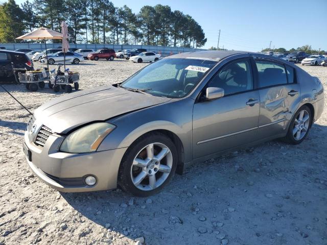 NISSAN MAXIMA SE 2004 1n4ba41e14c929275