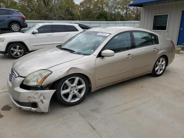 NISSAN MAXIMA 2005 1n4ba41e15c826794