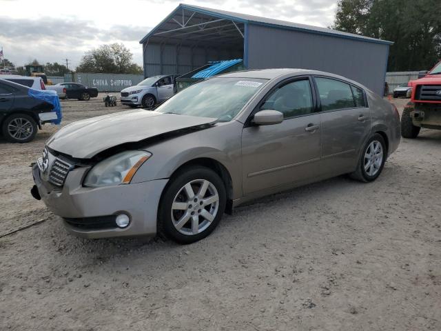 NISSAN MAXIMA 2006 1n4ba41e16c805820