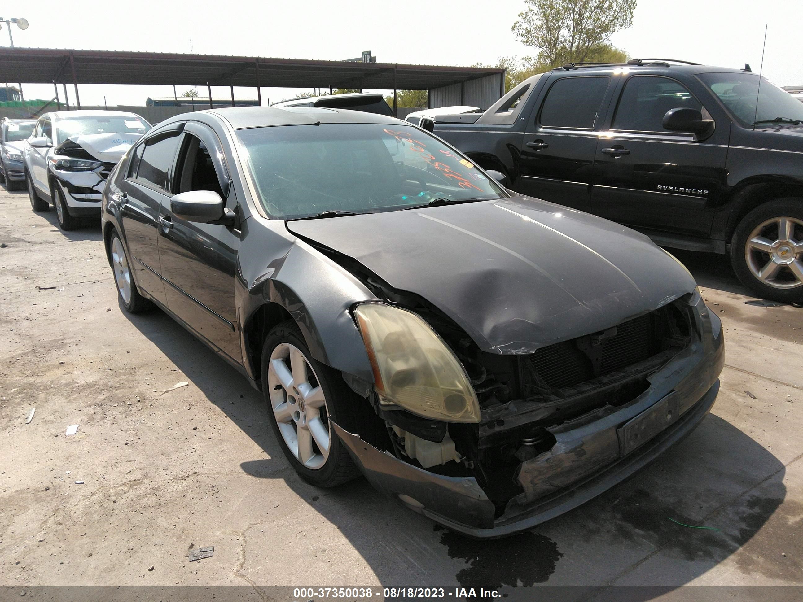 NISSAN MAXIMA 2006 1n4ba41e16c816011