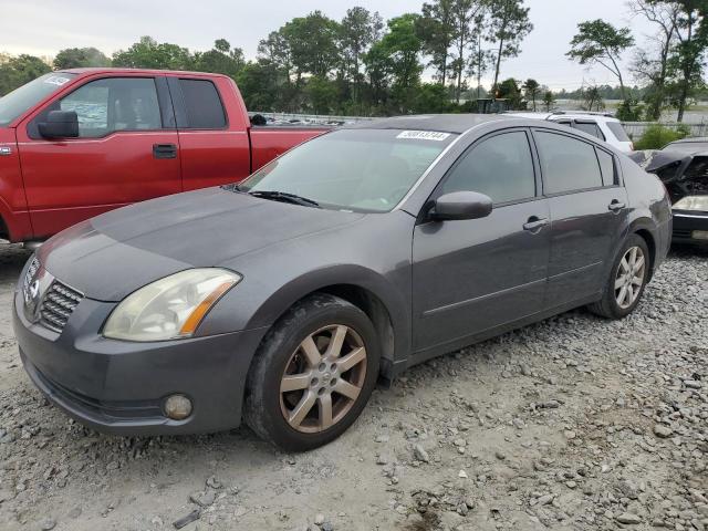 NISSAN MAXIMA 2006 1n4ba41e16c844147