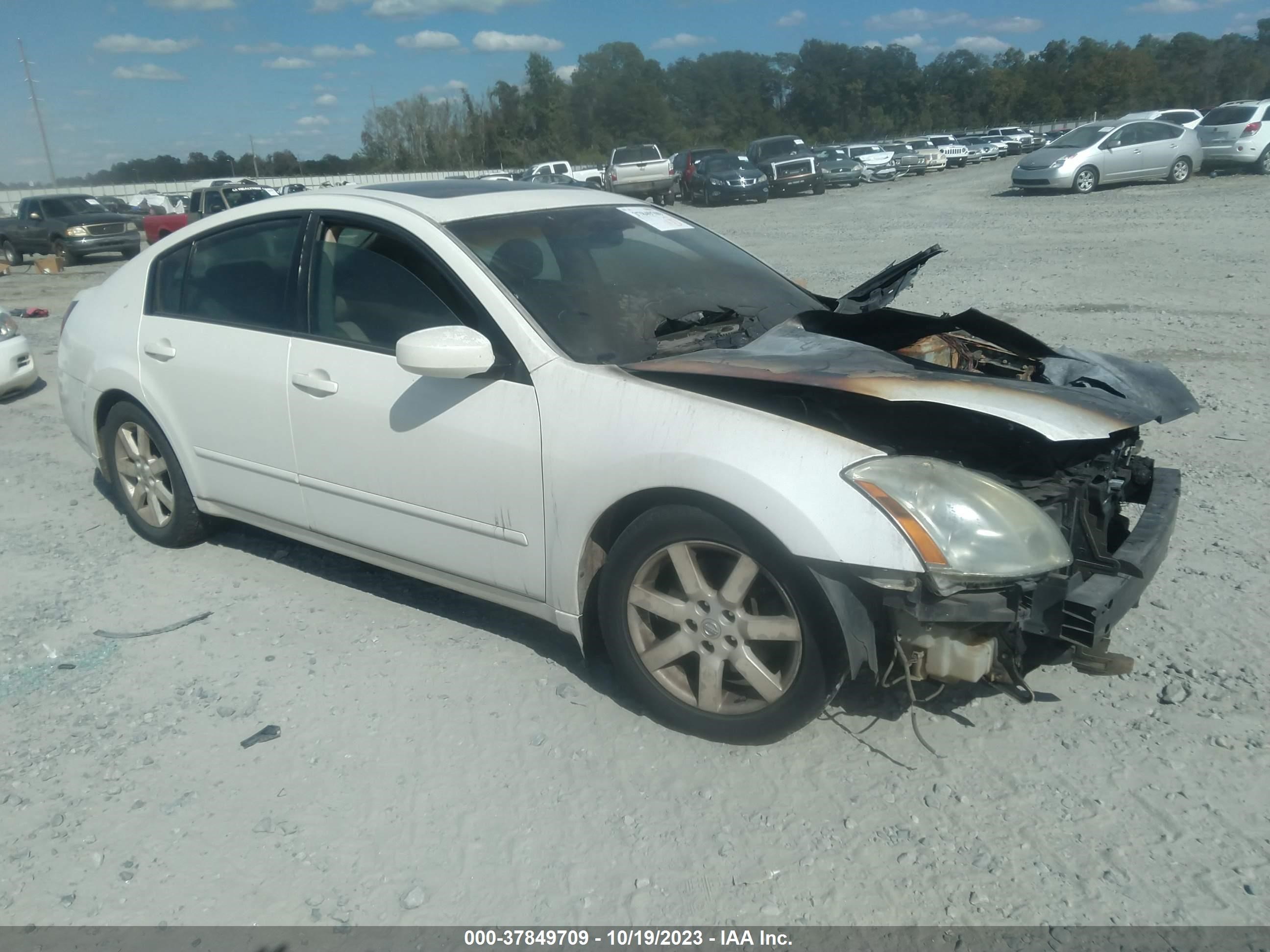 NISSAN MAXIMA 2006 1n4ba41e16c848148