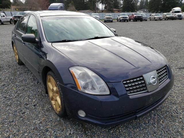 NISSAN MAXIMA SE 2004 1n4ba41e24c805919