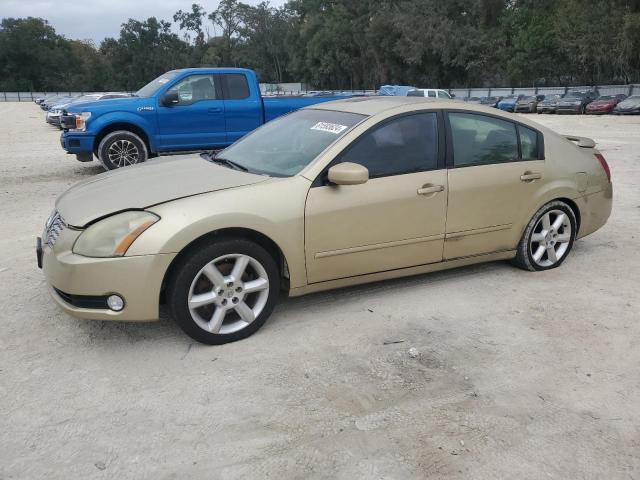 NISSAN MAXIMA SE 2004 1n4ba41e24c822123