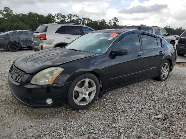 NISSAN MAXIMA 2004 1n4ba41e24c827547