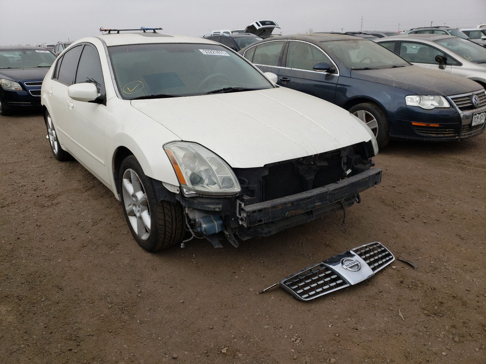 NISSAN MAXIMA SE 2004 1n4ba41e24c836880