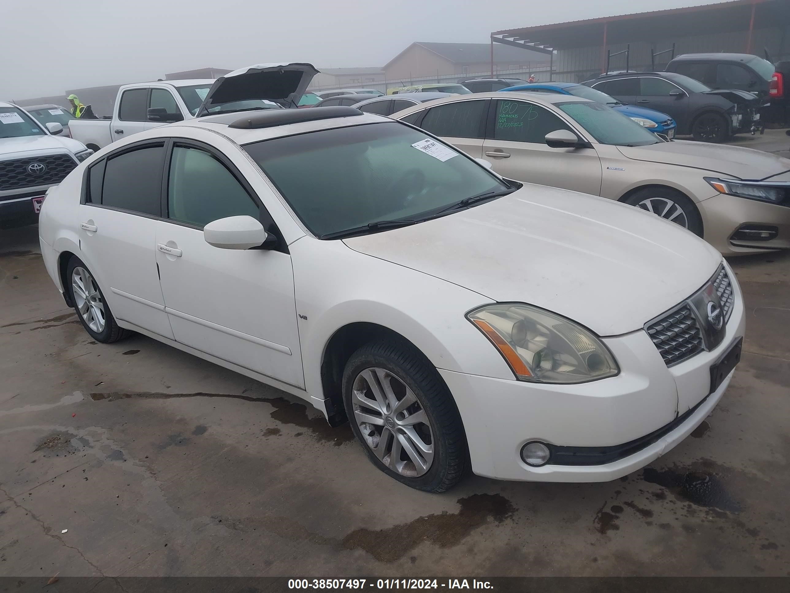 NISSAN MAXIMA 2004 1n4ba41e24c839844