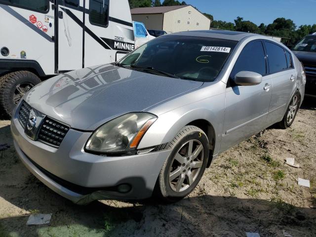 NISSAN MAXIMA SE 2004 1n4ba41e24c844431