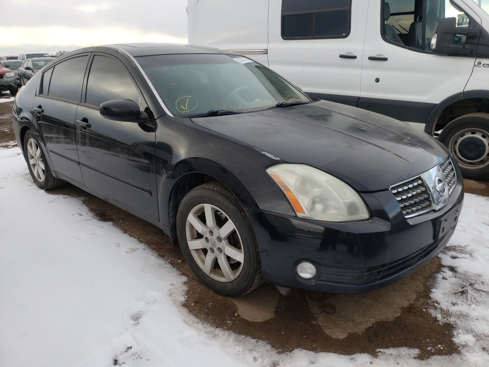 NISSAN MAXIMA SE 2004 1n4ba41e24c861861