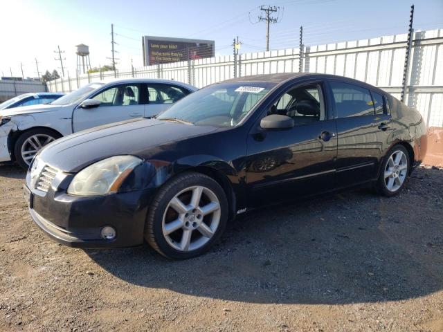 NISSAN MAXIMA 2004 1n4ba41e24c929415