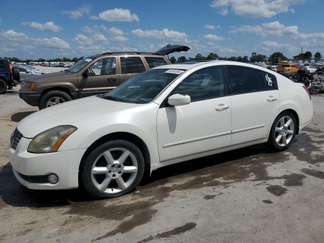 NISSAN MAXIMA 2005 1n4ba41e25c802407