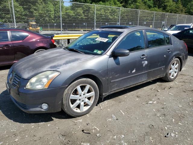 NISSAN MAXIMA SE 2005 1n4ba41e25c806408