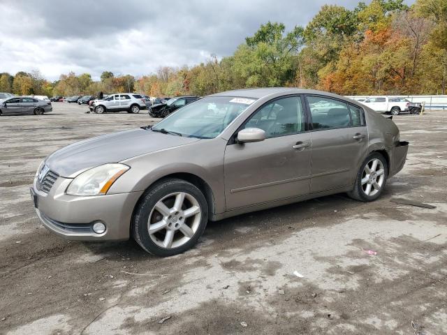 NISSAN MAXIMA SE 2005 1n4ba41e25c810474