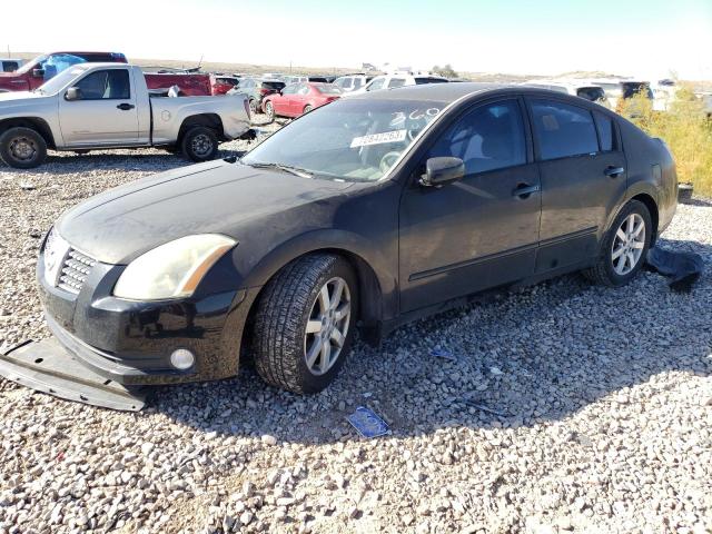 NISSAN MAXIMA 2005 1n4ba41e25c831471