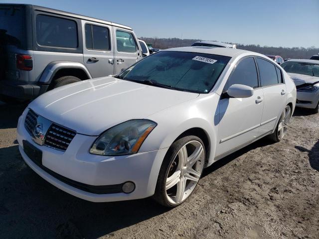 NISSAN MAXIMA 2005 1n4ba41e25c841269