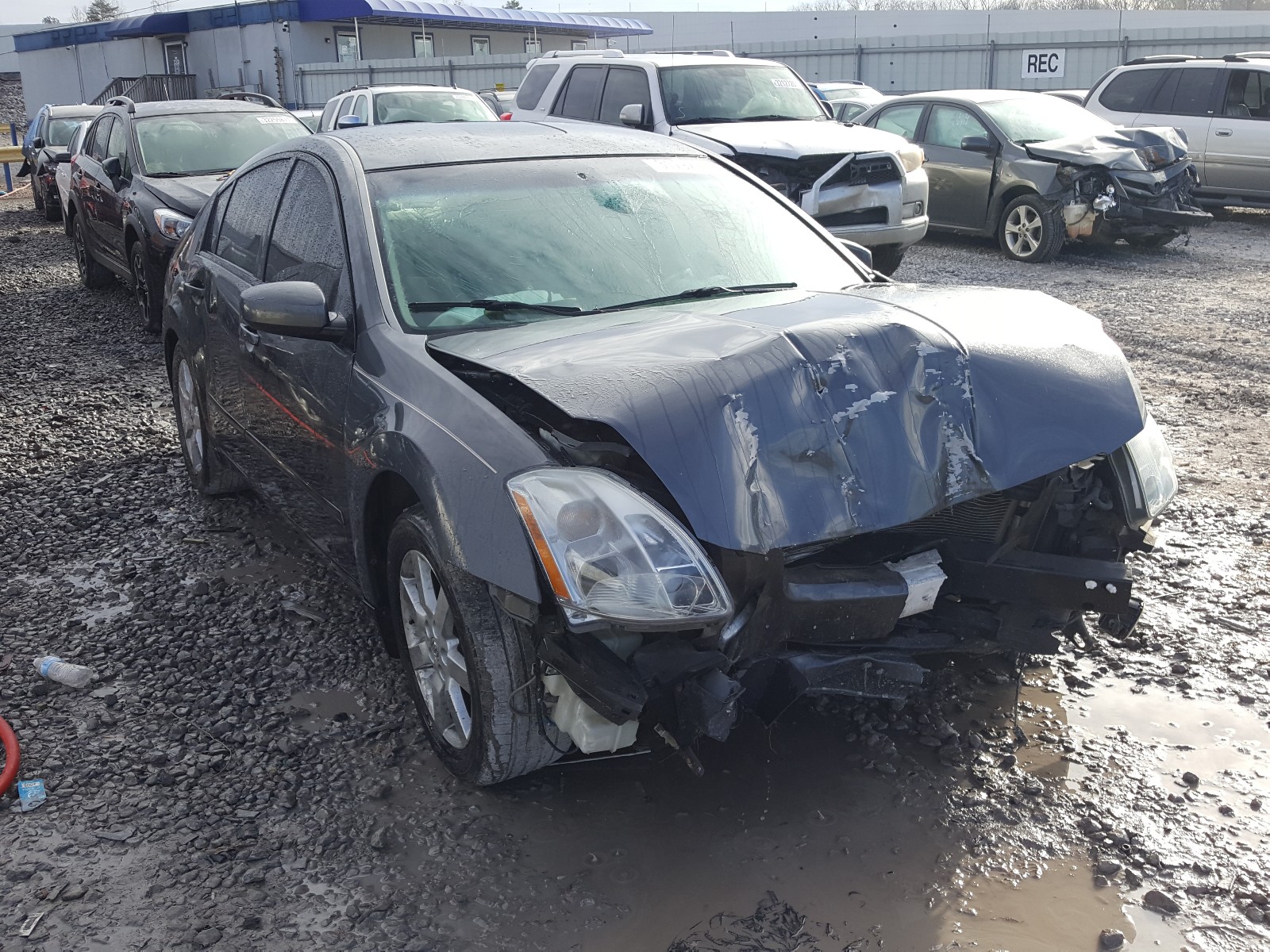 NISSAN MAXIMA SE 2005 1n4ba41e25c848822