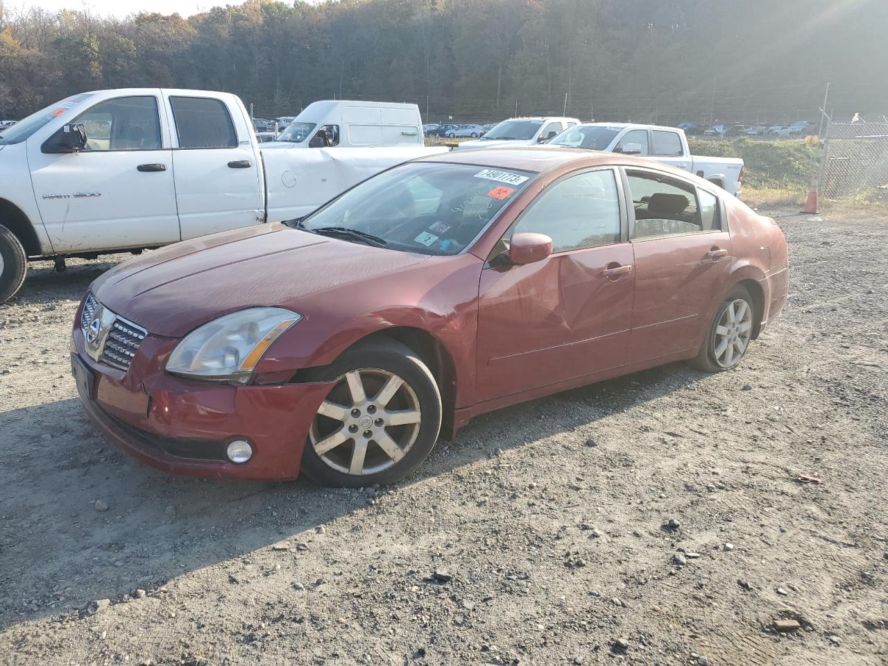 NISSAN MAXIMA 2005 1n4ba41e25c850943