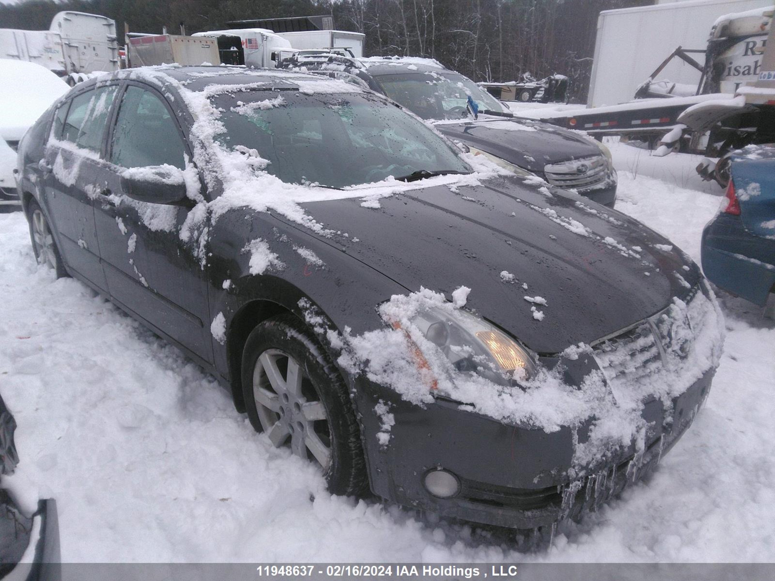 NISSAN MAXIMA 2005 1n4ba41e25c854894