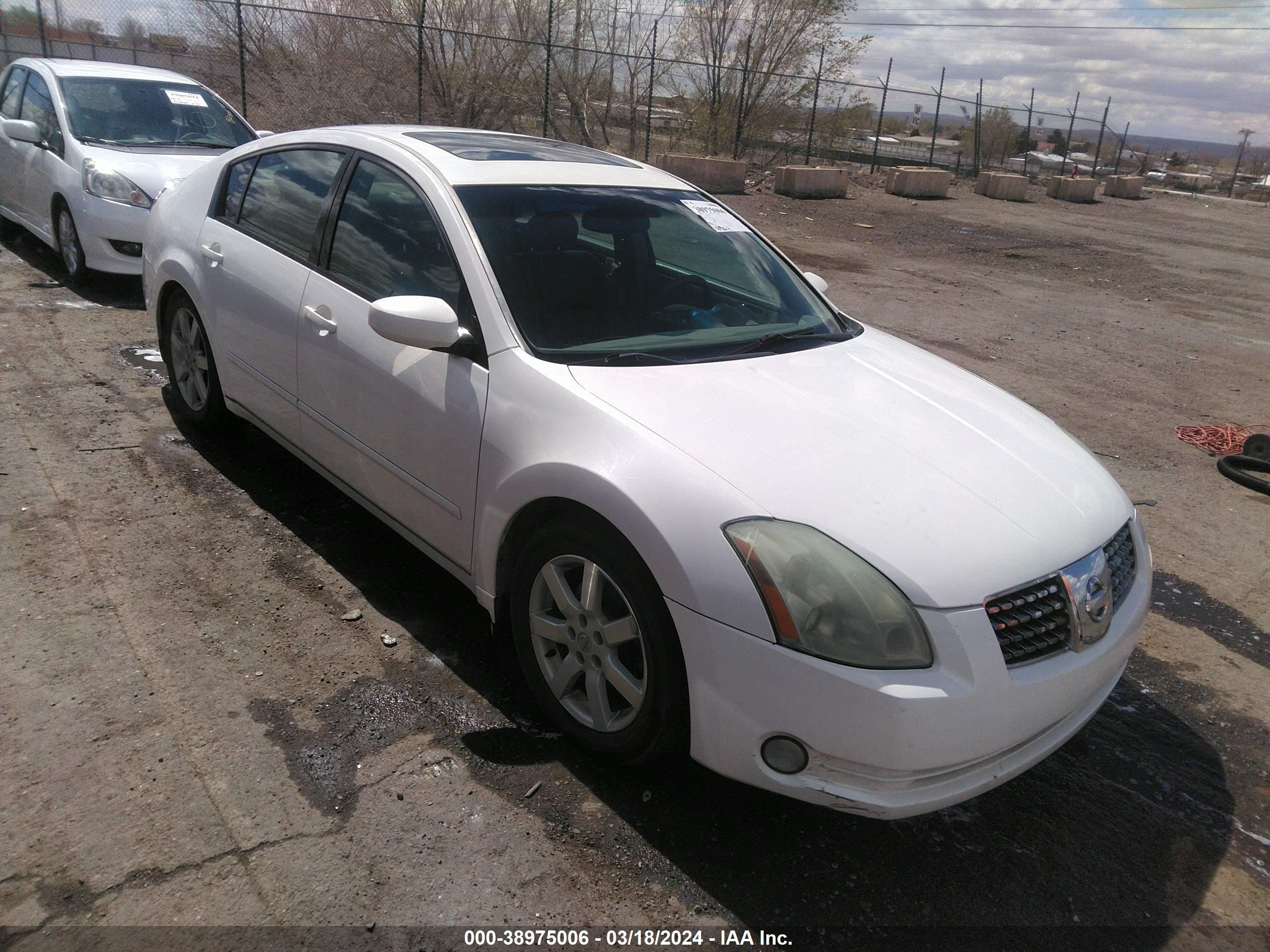 NISSAN MAXIMA 2005 1n4ba41e25c857181