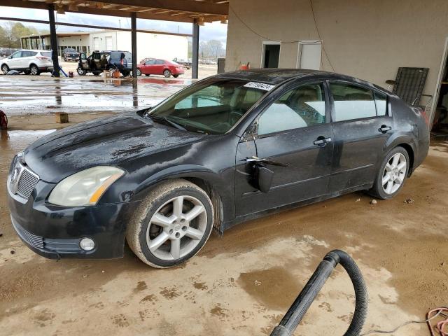 NISSAN MAXIMA 2005 1n4ba41e25c875048