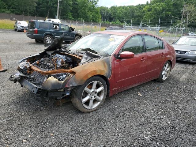 NISSAN MAXIMA 2006 1n4ba41e26c812145