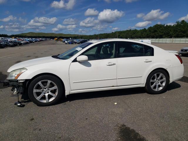 NISSAN MAXIMA SE 2007 1n4ba41e27c824491